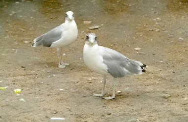 Similar image 1745086