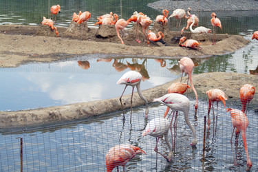 Similar image 1745088