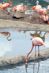 Similar image 1745089