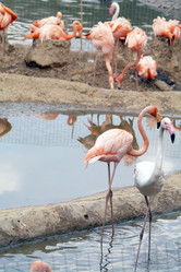 Similar image 1745090