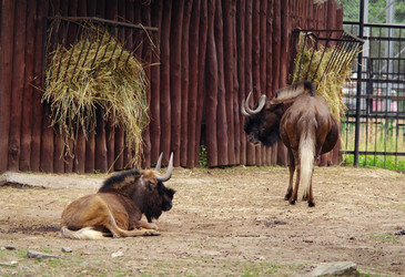 Similar image 1745091