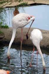 Similar image 1745103