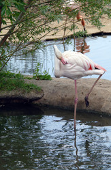 Similar image 1745104