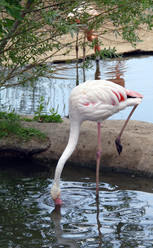 Similar image 1745105