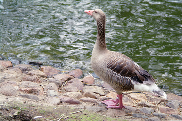 Similar image 1745106