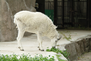 Similar image 1745110