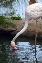 Similar image 1745111