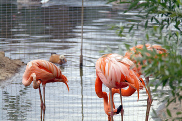 Similar image 1745113