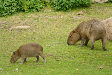 Similar image 1745122