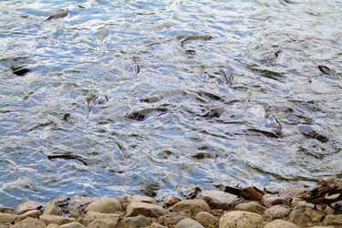 Similar image 1745123