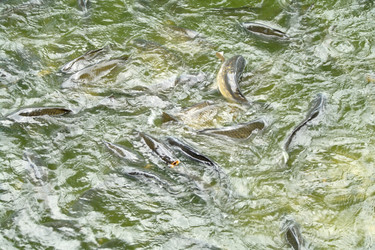 Similar image 1745124