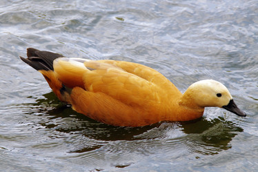 Similar image 1745125