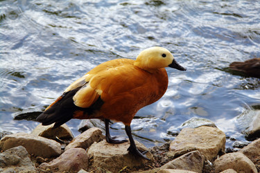 Similar image 1745126