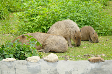 Similar image 1745130