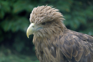 Similar image 1745131