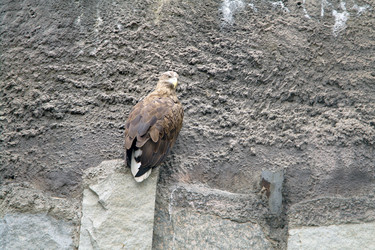 Similar image 1745133