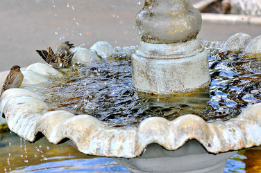 Similar image 1745391