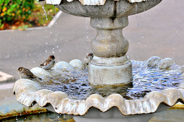 Similar image 1745406