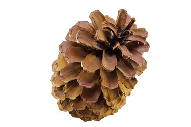 Similar image 1745417