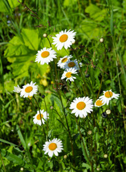 Similar image 1745441