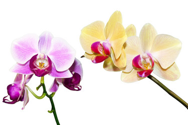 Similar image 1745478