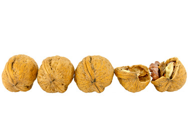 Similar image 1745479