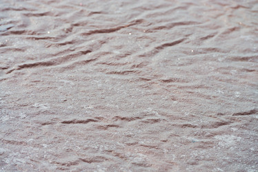 Similar image 1745488