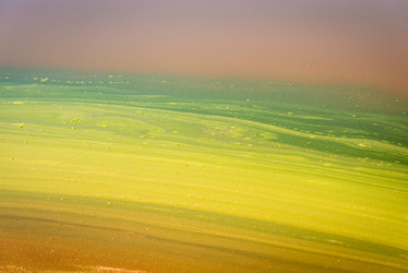 Similar image 1745519