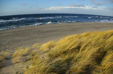 Similar image 1745603