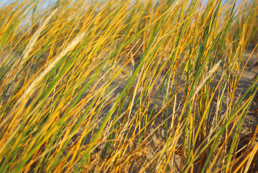 Similar image 1745604