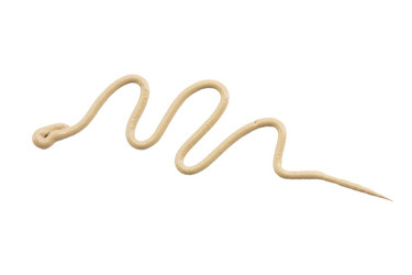 Similar image 1745619