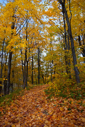 Similar image 1745635