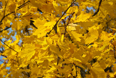 Similar image 1745636