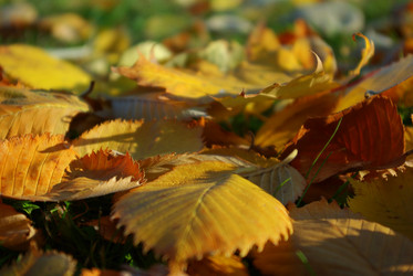 Similar image 1745637