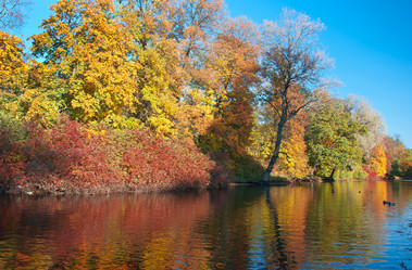 Similar image 1745638