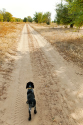 Similar image 1745650