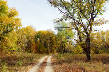 Similar image 1745651