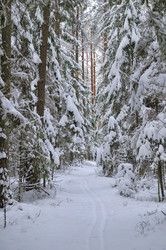 Similar image 1745770