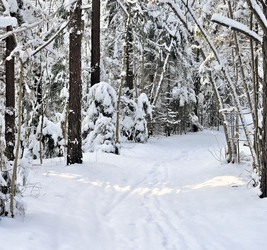 Similar image 1745773