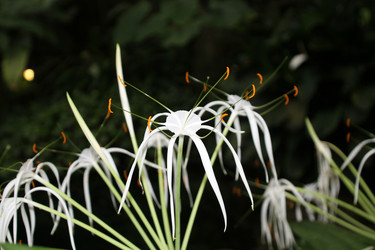 Similar image 1745894