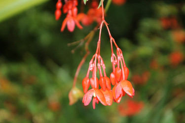 Similar image 1746231