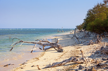 Similar image 1746887