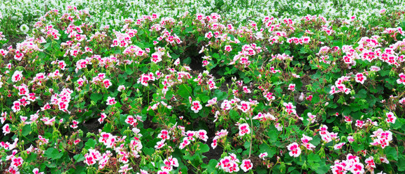 Similar image 1747013