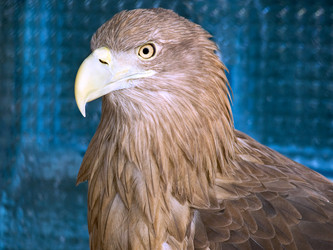 Similar image 1747180