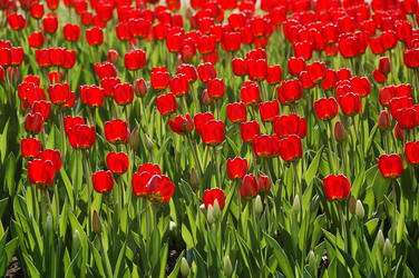 Similar image 1747320