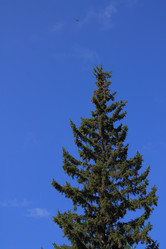 Similar image 1747556