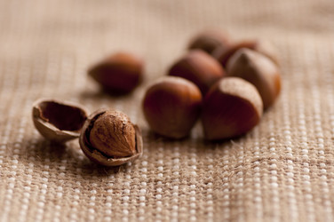 Similar image 1747594