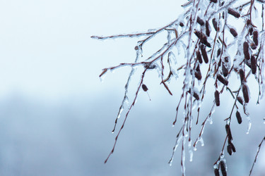 Similar image 1747628