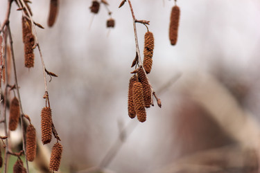 Similar image 1747629