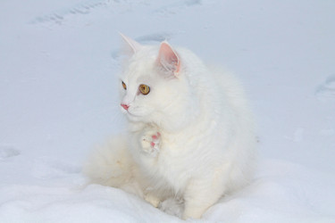 Similar image 1747644